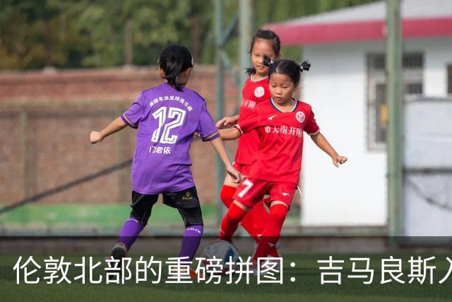 伦敦北部的重磅拼图：吉马良斯入“厂”，阿森纳中场迎来终极形态